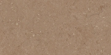 Керамогранит  NP02 30,6x60,9x8 Непол. (Керамический гранит) _10