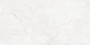 Керамогранит  NL00 60x60x10 Непол.Рект. (Керамический гранит) _7