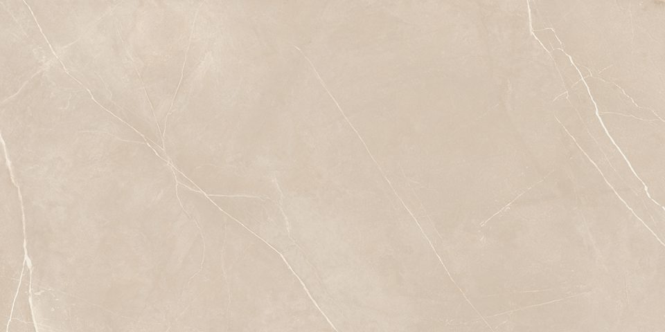 Керамогранит NL01 60x120x10 Непол.Рект. (Керамический гранит) #9