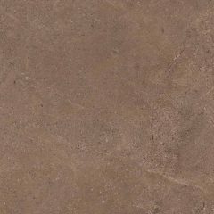 Керамогранит GO02 60x60x9 Непол.Рект. (Керамический гранит) #7