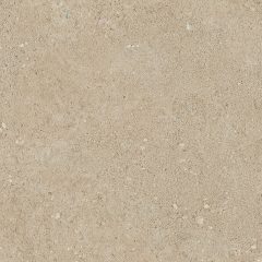 Керамогранит NP02 40,5x40,5x8 Непол. (Керамический гранит) (43,296 м2) #11