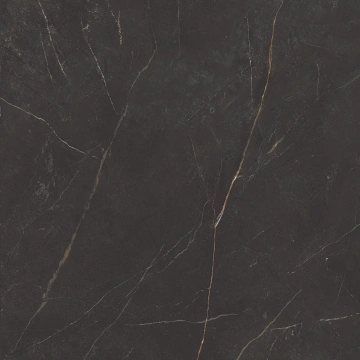 Керамогранит  NL01 60x60x9 Непол.Рект. (Керамический гранит) _14
