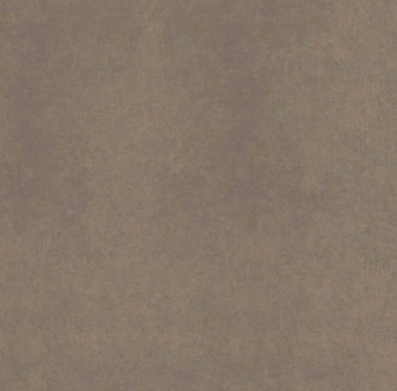 Керамогранит  CA00 60x60x10 Непол.Рект. (Керамический гранит) _5