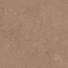 Керамогранит NP03 40,5x40,5x8 Непол. (Керамический гранит) (43,296 м2) #3