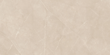 Керамогранит NL01 60x120x9 Полир. (Керамический гранит)-2