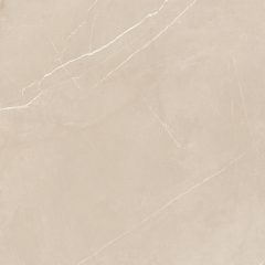 Керамогранит NL01 60x60x10 Полир. (Керамический гранит) #19