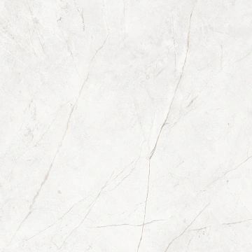 Керамогранит  LF00 60x60 Непол.Рект. (Керамический гранит) _16
