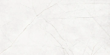 Керамогранит  NL00 60x60x10 Непол.Рект. (Керамический гранит) _2
