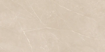 Керамогранит  NL02 60x60x10 Полир. (Керамический гранит) _7