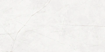 Керамогранит  NL00 60x120x10 Непол.Рект. (Керамический гранит) _6