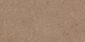 Керамогранит  NP02 30,6x60,9x8 Непол. (Керамический гранит) _4