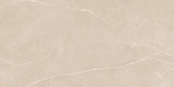 Керамогранит  NL01 60x120x9 Полир. (Керамический гранит) _6