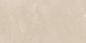 Керамогранит  NL04 60x60x10 Непол.Рект. (Керамический гранит) _9