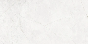 Керамогранит  NL00 60x120x10 Непол.Рект. (Керамический гранит) _1