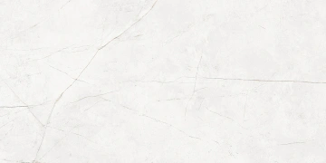 Керамогранит  NL00 60x60x10 Непол.Рект. (Керамический гранит) _5