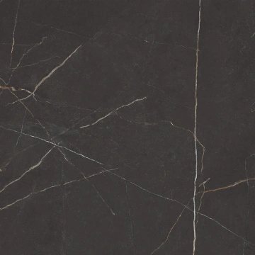 Керамогранит  NL03 60x60x10 Непол.Рект. (Керамический гранит) _4