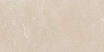 Керамогранит  NL00 60x120x10 Полир. (Керамический гранит) _9