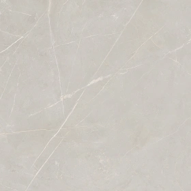 Керамогранит  NL01 60x60x10 Полир. (Керамический гранит) _7