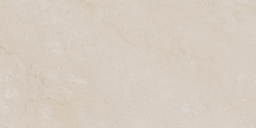 Керамогранит  DL01 19,4х120х9 Непол.Рект. (Керамический гранит) 