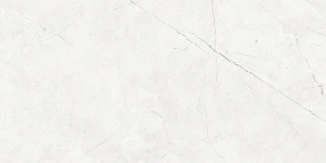 Керамогранит  NL02 60x60x10 Полир. (Керамический гранит) _4