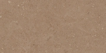 Керамогранит  NP02 30,6x60,9x8 Непол. (Керамический гранит) _2