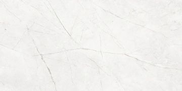 Керамогранит  NL00 60x60x10 Непол.Рект. (Керамический гранит) _8