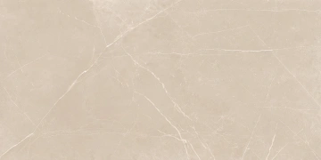 Керамогранит  NL04 60x60x10 Непол.Рект. (Керамический гранит) _1