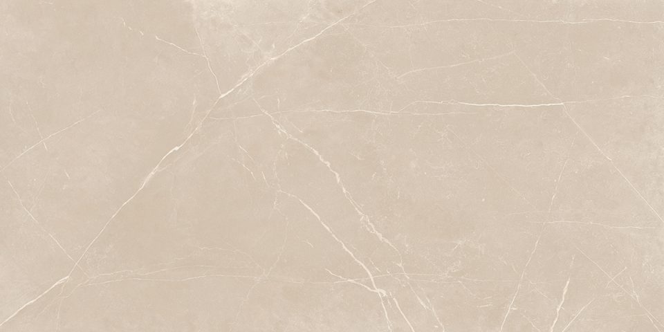 Керамогранит NL01 60x120x10 Непол.Рект. (Керамический гранит) #2