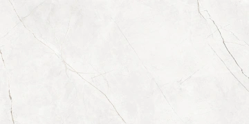 Керамогранит  NL02 60x60x10 Полир. (Керамический гранит) _9