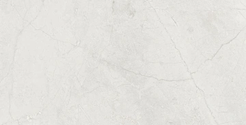 Керамогранит  TE04 60x120x10 Непол.Рект. (Керамический гранит) _6