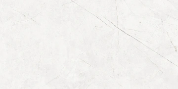Керамогранит  NL00 60x60x10 Непол.Рект. (Керамический гранит) _4