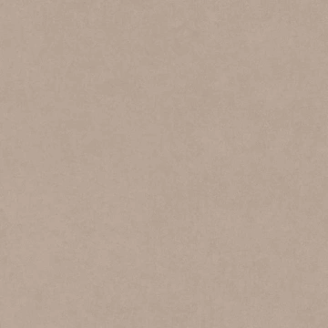 Керамогранит  CA04 60x120x10 Непол.Рект. (Керамический гранит) _1