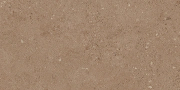 Керамогранит  NP02 30,6x60,9x8 Непол. (Керамический гранит) _7