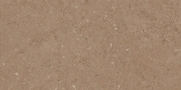 Керамогранит  NP02 30,6x60,9x8 Непол. (Керамический гранит) _6