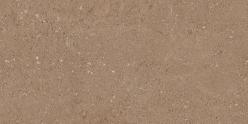 Керамогранит  NP02 30,6x60,9x8 Непол. (Керамический гранит) _5