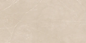 Керамогранит  NL04 60x60x10 Непол.Рект. (Керамический гранит) _4