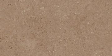 Керамогранит  NP02 30,6x60,9x8 Непол. (Керамический гранит) _9