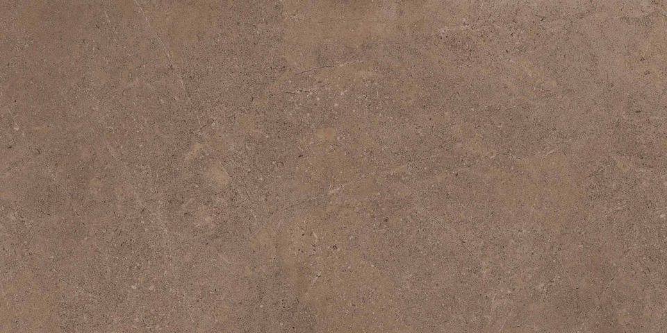 Керамогранит GO02 60x120x9 Непол.Рект. (Керамический гранит)