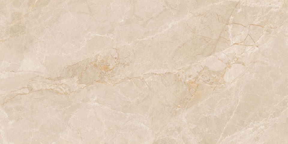 Керамогранит EXM301 60x120x9 Непол.Рект. (Керамический гранит) #5