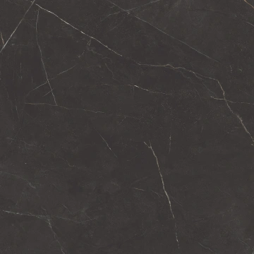 Керамогранит  NL01 60x60x9 Непол.Рект. (Керамический гранит) _5