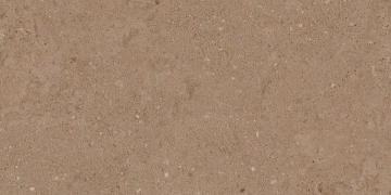 Керамогранит  NP02 30,6x60,9x8 Непол. (Керамический гранит) _3