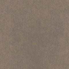Керамогранит CA04 30x30x8 Непол. Рект. (Керамический гранит) #5