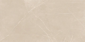 Керамогранит  NL02 60x60x10 Полир. (Керамический гранит) _1