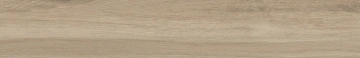 AW01 19,4x120x10 Непол.Рект. (Керамический гранит)_5