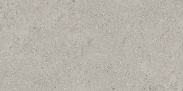 Керамогранит NP01 30,6x60,9x8 Непол. (Керамический гранит)-3