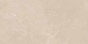 Керамогранит  NL04 60x60x10 Непол.Рект. (Керамический гранит) _6