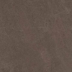 Керамогранит GO03 60x60 Непол.Рект. (Керамический гранит) #9