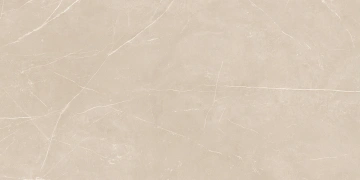 Керамогранит  NL01 60x120x9 Полир. (Керамический гранит) _5