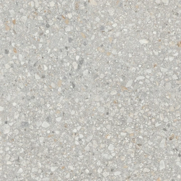 AG21 60x60x10 Непол.Рект. (Керамический гранит)_3