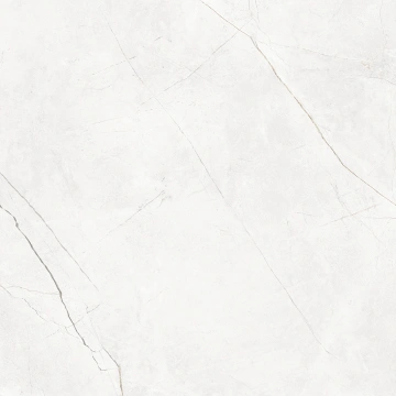 Керамогранит  LF00 60x60 Непол.Рект. (Керамический гранит) _3